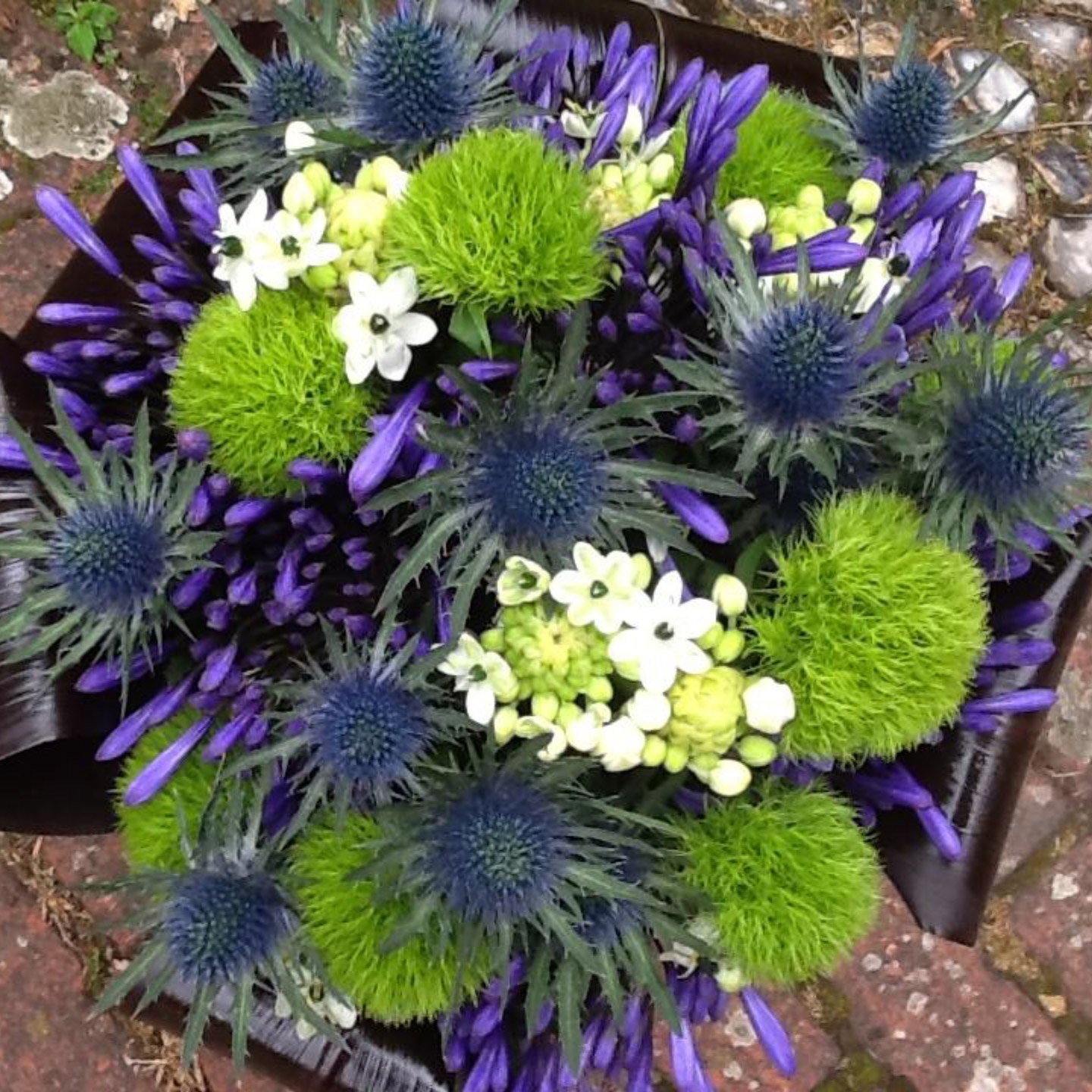 Petals & Twigs UK